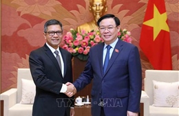 Đại sứ Denny Abdi: Củng cố tình hữu nghị, đối tác chiến lược Việt Nam - Indonesia