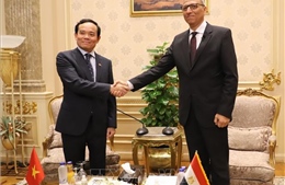 Cơ hội lớn thúc đẩy hợp tác kinh tế và thương mại Việt Nam - Ai Cập