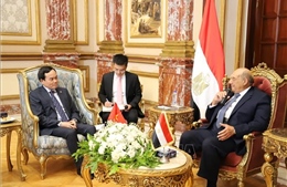 Phó Thủ tướng Trần Lưu Quang hội kiến Chủ tịch Thượng viện và gặp Phó Chủ tịch thứ nhất Hạ viện Ai Cập