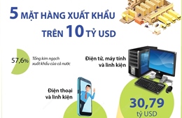 7 tháng năm 2023: 5 mặt hàng xuất khẩu trên 10 tỷ USD