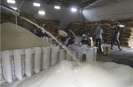 &#39;Cú sốc&#39; khi cường quốc gạo cấm xuất khẩu gạo