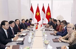 Truyền thông Indonesia nhấn mạnh ý nghĩa của hợp tác nghị viện với Việt Nam
