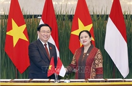 Truyền thông Indonesia nhấn mạnh quan hệ gắn bó với Việt Nam