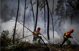 Cháy rừng tiếp diễn tại bán đảo Iberia