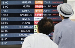 Bão Khanun đổ bộ Hàn Quốc, hàng trăm chuyến bay bị đỉnh chỉ