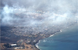Số người thiệt mạng do cháy rừng ở Hawaii (Mỹ) tăng lên 53