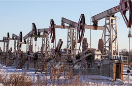 OPEC lạc quan về triển trọng nhu cầu dầu mỏ toàn cầu trong năm 2024