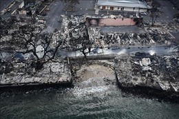 Mỹ: Thảm họa cháy rừng ở Hawaii khiến ít nhất 67 người thiệt mạng