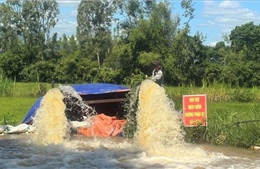 Phú Yên: Điều tiết nước chống hạn cho hơn 1.000 ha lúa vụ Hè Thu