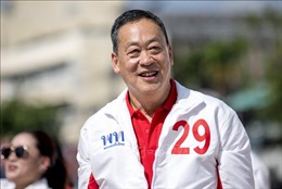 Đảng Pheu Thai có thêm sự ủng hộ trước thềm bầu cử thủ tướng