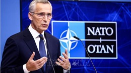 Tổng thư ký NATO tái khẳng định lợi ích chung giữa các đồng minh châu Âu và Mỹ