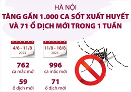 Hà Nội: Tăng gần 1.000 ca sốt xuất huyết và 71 ổ dịch mới trong một tuần