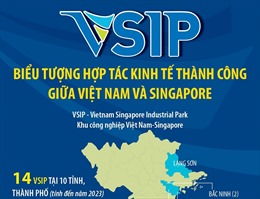 VSIP: Biểu tượng hợp tác kinh tế thành công giữa Việt Nam và Singapore