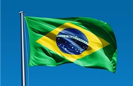 Điện mừng Quốc khánh Brazil
