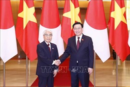 Chủ tịch Thượng viện Nhật Bản kết thúc tốt đẹp chuyến thăm chính thức Việt Nam