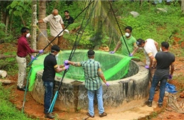 Ấn Độ: Bang Kerala tăng cường ngăn chặn sự lây lan của virus Nipah
