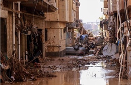 WHO trích 2 triệu USD để hỗ trợ nạn nhân lũ lụt ở Libya
