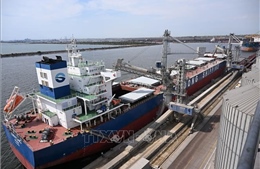 Ukraine: Thêm nhiều tàu sẵn sàng sử dụng hành lang an toàn mới trên Biển Đen