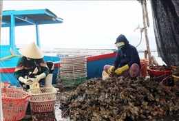 Gia tăng giá trị nuôi trồng thủy sản trên biển