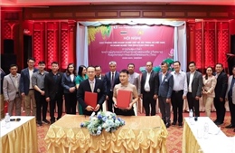 Thúc đẩy hợp tác thương mại giữa tỉnh Quảng Trị với các tỉnh Đông Bắc Thái Lan
