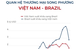 Quan hệ thương mại song phương Việt Nam - Brazil