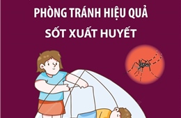Biện pháp tránh bị muỗi đốt, phòng tránh hiệu quả sốt xuất huyết