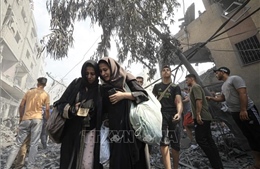 Xung đột Hamas - Israel: Kêu gọi đảm bảo viện trợ nhân đạo cho người dân Palestine