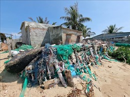 Ninh Thuận: Người dân lo lắng vì sóng biển xâm thực sâu vào đất liền
