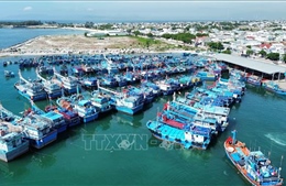 EC đánh giá cao chuyển biến nghề cá có trách nhiệm của Việt Nam