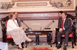 Thành phố Hồ Chí Minh thúc đẩy hợp tác với các đối tác Anh quốc