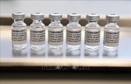 Pfizer và BioNTech công bố kết quả thử nghiệm vaccine kết hợp ngừa COVID-19 và cúm