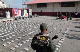 Venezuela thu giữ hơn 10 tấn cocaine