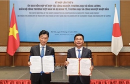 Việt Nam - Nhật Bản thống nhất hợp tác công nghiệp, thương mại và năng lượng