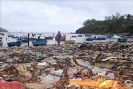 Quảng Ngãi: Bãi biển An Vĩnh, Tịnh Kỳ ngập rác sau mưa lũ