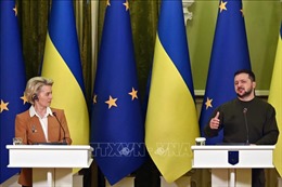 Tổng thống Ukraine bác bỏ đàm phán hòa bình với Nga