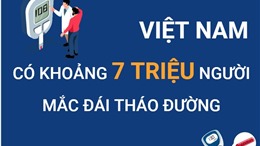 Việt Nam có khoảng 7 triệu người mắc đái tháo đường