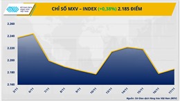 Giá kim loại tăng mạnh thúc đẩy chỉ số hàng hóa MXV-Index