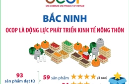Bắc Ninh: OCOP là động lực phát triển kinh tế nông thôn