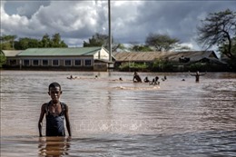 Hơn 170 người thiệt mạng do lũ lụt ở Somalia và Kenya