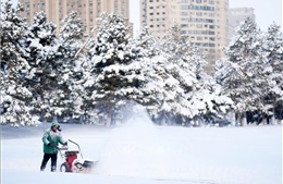 Khu vực Đông Bắc Trung Quốc hứng chịu thời tiết lạnh bất thường