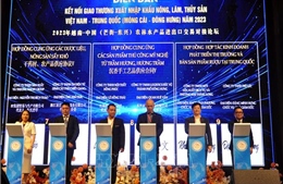 Doanh nghiệp Việt Nam - Trung Quốc ký kết 21 thỏa thuận, hợp đồng kinh tế