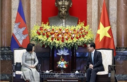 Chủ tịch nước Võ Văn Thưởng tiếp Chủ tịch Quốc hội Campuchia