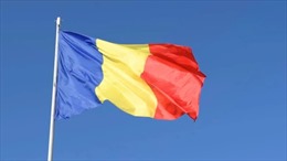 Điện mừng kỷ niệm 105 năm ngày Quốc khánh Cộng hòa Romania