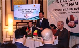 Bộ Công Thương sẵn sàng hỗ trợ cộng đồng doanh nghiệp Việt - Bỉ hợp tác hiệu quả