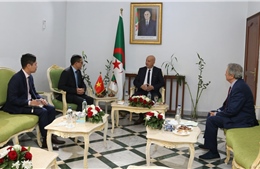 Thúc đẩy hợp tác thông qua kênh đảng giữa Việt Nam và Algeria