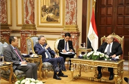 Bộ trưởng Bộ Công an Tô Lâm thăm và làm việc tại Ai Cập