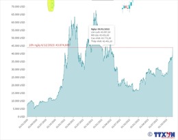 Giá Bitcoin giao dịch gần mức 44.000 USD/BTC