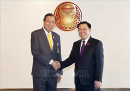 Chủ tịch Quốc hội Vương Đình Huệ hội kiến Chủ tịch Thượng viện Thái Lan