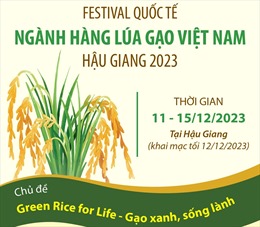Festival Quốc tế ngành hàng lúa gạo Việt Nam tại Hậu Giang 