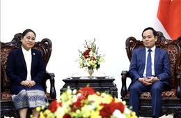 Phó Thủ tướng Trần Lưu Quang tiếp Bộ trưởng Bộ Thông tin, Văn hóa và Du lịch Lào
